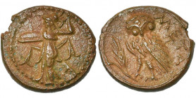 LUCANIE, METAPONTE, AE bronze, vers 330 av. J.-C. D/ Athéna Promachos deb. à g., brandissant une lance et ten. un bouclier. R/ Chouette à g. sur un ép...