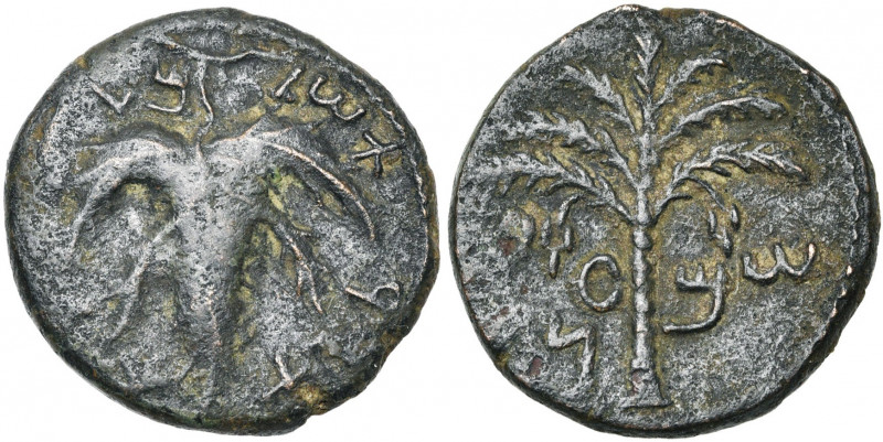 JUDEE, Révolte de Bar Kochba (132-135), moyen bronze, 133-134. D/ Feuille de vig...