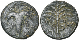 JUDEE, Révolte de Bar Kochba (132-135), moyen bronze, 133-134. D/ Feuille de vigne avec inscription circulaire. R/ Palmier à sept branches. Dans le ch...