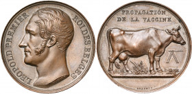 BELGIQUE, Royaume, AE médaille, s. d. (1832), Braemt. Propagation de la vaccine. D/ T. nue de Léopold Ier à g. R/ Vache laitière deb. à d. Dans le cha...