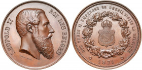 BELGIQUE, AE médaille, 1871, L. Wiener. Visite de Pedro II, empereur du Brésil. D/ T. nue de Léopold II à d. R/ Blason du Brésil dans une couronne. Ch...
