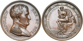 FRANCE, AE médaille, 1815, Brenet. Séjour à l''Ile d''Elbe. D/ B. de Napoléon à d., en uniforme., t. nue. R/ La Fortune assise sur un rocher au milieu...