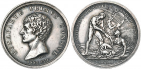 ITALIE, AR médaille, 1800 (an 8), Lavy (d''après Appiani). Victoire de l''armée française à la bataille de Marengo. D/ T. nue de Napoléon à g. R/ XII....
