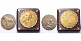 PAYS-BAS, lot de 2 médailles : 1883, A. Fisch, médaille de bronze de l''exposition coloniale internationale d''Amsterdam (AE doré, 70 mm, écrin, attri...