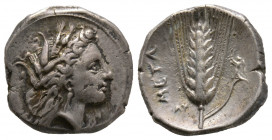 Lucania, Metaponto 330-300 avant J.C., statère AG 7.7 g. Ref : Sear 416 TTB