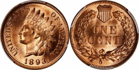 1893 Indian Cent. Unc Details--Questionable Color (PCGS).
PCGS# 2184. NGC ID: 228M.