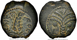 JUDAEA. Roman Procurators. Marcus Ambibulus (AD 9-12). AE prutah (16mm, 1.99 gm, 1h). NGC Choice XF 4/5 - 3/5, light scratches. Jerusalem, dated Regna...