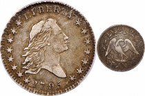 1795 Flowing Hair Half Dollar. O-102, T-26. Rarity-3. Two Leaves. EF-40 (PCGS). CAC.
This is a richly original, thoroughly appealing Flowing Hair hal...