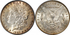 1892-S Morgan Silver Dollar. AU-58 (PCGS).
Virtually complete satin luster and overall full striking detail confirm this coin as a conditionally rare...