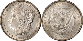 1892-S Morgan Silver Dollar. AU-58 (NGC).
This mostly brilliant Morgan dollar displays just a touch of pale golden-gray patina that is a bit more pre...