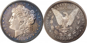 1895 Morgan Silver Dollar. Proof-64 (PCGS). CAC.
An outstanding Choice specimen to represent this key date entry in the Morgan dollar series. Origina...