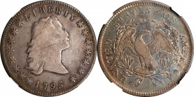 1795 Flowing Hair Silver Dollar. BB-27, B-5. Rarity-1. Three Leaves. Fine-12 (NGC). CAC.
Medium steel-gray with slate highlights over the obverse. A ...