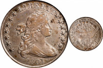 1801 Draped Bust Silver Dollar. BB-211, B-1. Rarity-3. EF-40 (PCGS).
Highlights of steel-olive enhance the deep pearl-gray surfaces. This is a well s...
