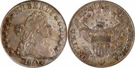 1802/1 Draped Bust Silver Dollar. BB-234, B-3. Rarity-3. Wide Date. EF-45 (ANACS). OH.
Charming apricot, golden-gray and antique silver patina blends...