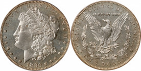 1880 Morgan Silver Dollar. Proof-64 (PCGS).
A lovely Choice Proof with overall brilliant surfaces and a dusting of vanilla and gray patina throughout...