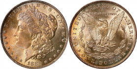 1883 Morgan Silver Dollar. MS-67 (PCGS).
Soft lemon-gold and ice-blue shades dominate the obverse, similar colors are on the reverse, but somewhat li...