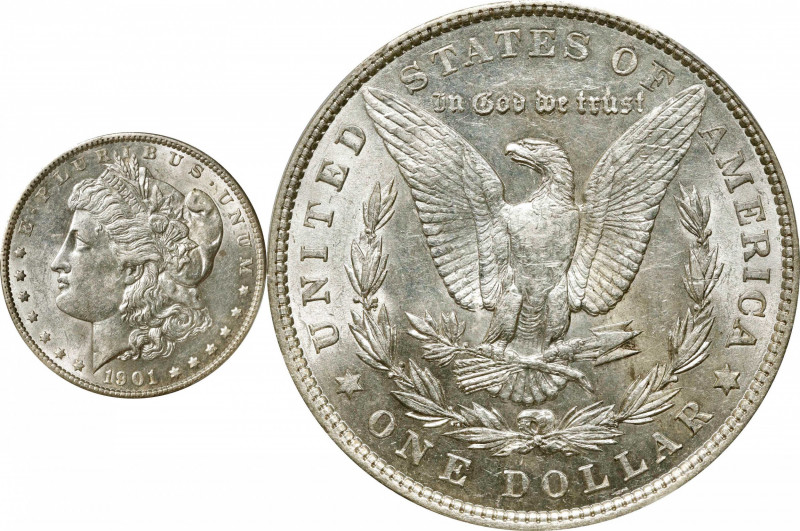 1901 Morgan Silver Dollar. VAM-3. Top 100 Variety. Doubled Die Reverse, Shifted ...