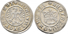 POLAND, Monarchs. Zygmunt I Stary (the Old), 1506-1548. Half Grosz 1511 (Silver, 19 mm, 0.94 g, 6 h), Krakow. ✠MONETA SIGISMVNDI Eagle with spread win...