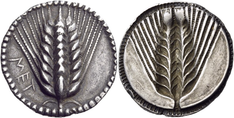 Lucania. Metapontum. Circa 540-510 BC. Stater (Silver, 28 mm, 8.23 g, 12 h). ΜΕΤ...