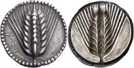 Lucania. Metapontum. Circa 540-510 BC. Stater (Silver, 28 mm, 8.23 g, 12 h). ΜΕΤ Ear of barley with eight grains; around, border of dots within two co...