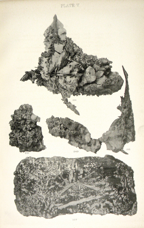 Chapman, S.H. and H. CATALOGUE OF THE MAGNIFICENT COLLECTION OF MINERALS, EXTREM...