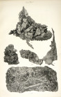 The Dohrmann Mineral Sale--Variant with Ten Plates