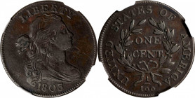 1803 Draped Bust Cent. S-251. Rarity-2. Small Date, Small Fraction. EF-40 BN (NGC).
PCGS# 1482. NGC ID: 224G.