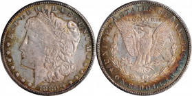 1880-CC Morgan Silver Dollar. MS-64+ (PCGS).
PCGS# 7100. NGC ID: 2542.