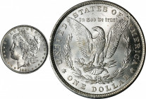 1881 Morgan Silver Dollar. MS-64 (PCGS).
PCGS# 7124. NGC ID: 2546.
