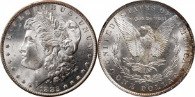1882-CC GSA Morgan Silver Dollar. MS-66 (NGC).
The original box and card are not included.
PCGS# 518866.