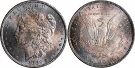 1882-CC Morgan Silver Dollar. MS-62 (PCGS).
PCGS# 7134. NGC ID: 254B.