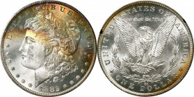1882-CC GSA Morgan Silver Dollar. Mint State (Uncertified).
The original box and card are not included.
PCGS# 518866.