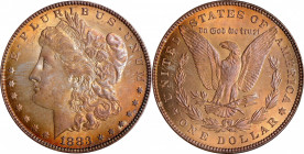 1883 Morgan Silver Dollar. MS-64 (NGC).
PCGS# 7142. NGC ID: 254G.