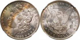 1883-O Morgan Silver Dollar. MS-66 (NGC).
PCGS# 7146. NGC ID: 254J.