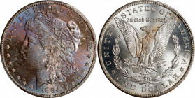 1884-CC Morgan Silver Dollar. MS-65 (PCGS).
PCGS# 7152. NGC ID: 254M.