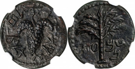 JUDAEA. Bar Kochba Revolt, 132-135 C.E. AE (4.50 gms), Jerusalem Mint, Attributed to Year 3 (34/5 C.E.). NGC Ch AU, Strike: 5/5 Surface: 3/5. Smoothin...
