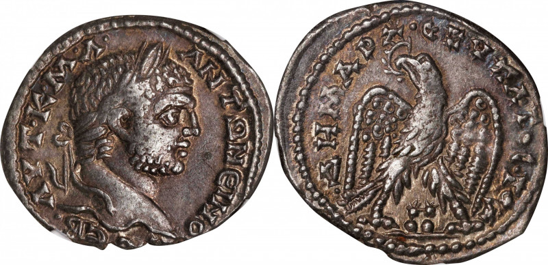 CARACALLA, A.D. 198-217. Phoenicia, Ake-Ptolemais. BI Tetradrachm, ca. A.D. 215-...