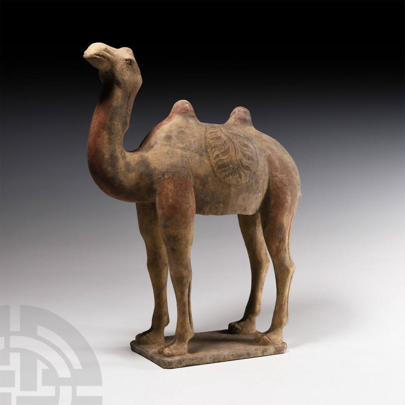 Chinese Tang Standing Camel Tang Dynasty, 618-907 A.D. A ceramic Bactrian camel ...