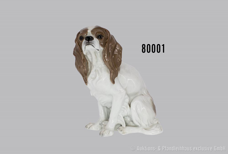 Rosenthal, King Charles Spaniel, Porzellan, polychrom bemalt, sitzender King Cha...