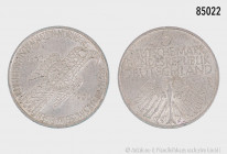 BRD, 5 DM 1952 D, Germanisches Museum, 625er Silber, 11,26 g, 29 mm, AKS 210, Jaeger 388, kleine Randfehler und Kratzer, etwas angelaufen, Patina, seh...