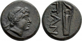 CIMMERIAN BOSPOROS. Pantikapaion. Ae (Circa 200-150 BC)