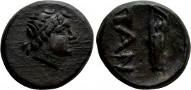 CIMMERIAN BOSPOROS. Pantikapaion. Ae (Circa 200-150 BC)