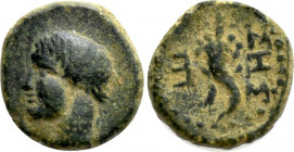 THRACE. Sestos. Ae (Circa 3rd century BC)