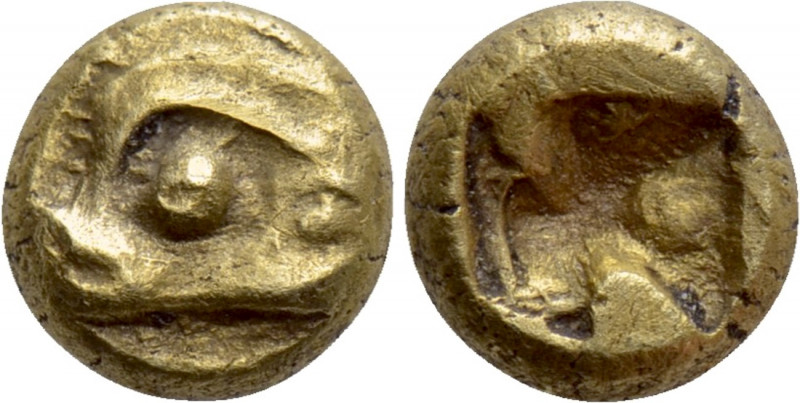 IONIA. Phokaia. EL 1/24 Stater (Circa 625/0-522 BC). 

Obv: Head of seal left....