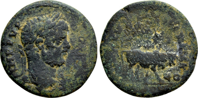 PHOENICIA. Tyre. Caracalla (198-217). Ae. 

Obv: IMP M AVR ANTONINVS. 
Laurea...