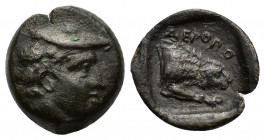 Kings of Macedon, Aeropos II (398/7-395/4 BC). Æ (13mm, 2.15g). Head Hermes r., wearing petasos. R/ Forepart of lion r., devouring prey. HGC 3.1, 813....