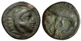 Kings of Macedon, Amyntas III (393-370/69 BC). Æ (16mm, 4.00g). Aigai or Pella. Head of Herakles r., wearing lion skin. R/ Eagle standing r., devourin...