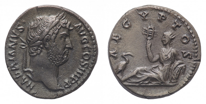 Hadrian (117-138 AD) - Denarius 130-133 AD - Mint: Rome - Obverse: Laureate and ...