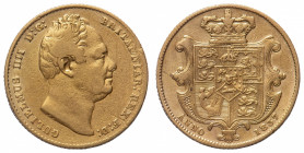 William IV (1830-1837) - Gold Sovereign 1837 - Mint: London - Obverse: Second bare head right - Reverse: Crowned shield - gr. 7,91 - Very fine Friedbe...