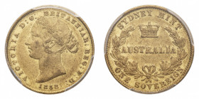 Australia
Victoria (1837-1901) - Gold Sovereign 1858 PCGS AU 50 - Mint: Sydney - Obverse: Laureate head left - Reverse: Crowned AUSTRALIA in wreath -...